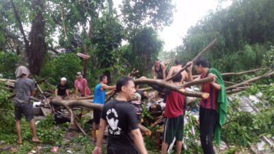 Hujan Lebat dan Angin Kencang di Bogor, Pohon hingga Tiang Listrik Tumbang