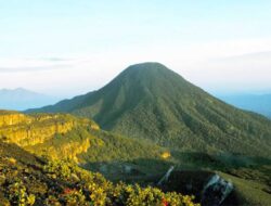 13 Pendaki Tersesat di Gunung Pangrango, Pencarian Masih Berlangsung