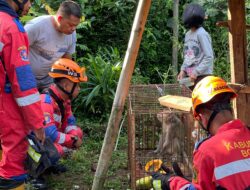 Serang Pemilik, 2 Monyet Ekor Panjang Diamankan Damkar