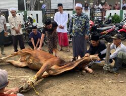 Kurban Tiga Ekor Sapi Jumbo, Ruhiyat Sujana Ajak BARA RS Bisa Berkurban Tahun Depan